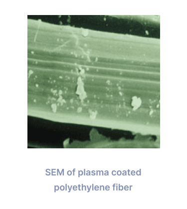 Fiber Technology SEM picture